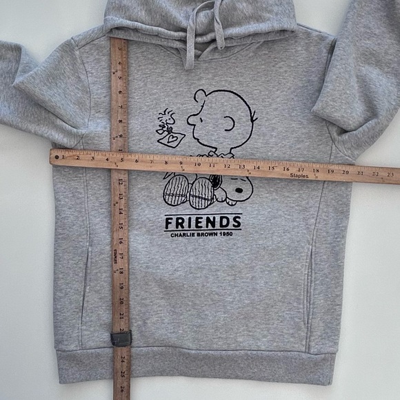 Peanuts x Hang Ten Hoodie Size Men’s Small Charlie Brown Velvet Graphic Licensed - Picture 5 of 7